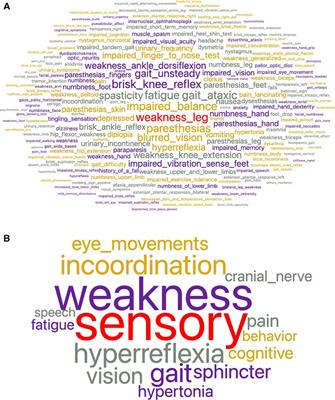 Subtypes of relapsing-remitting multiple sclerosis identified by network analysis